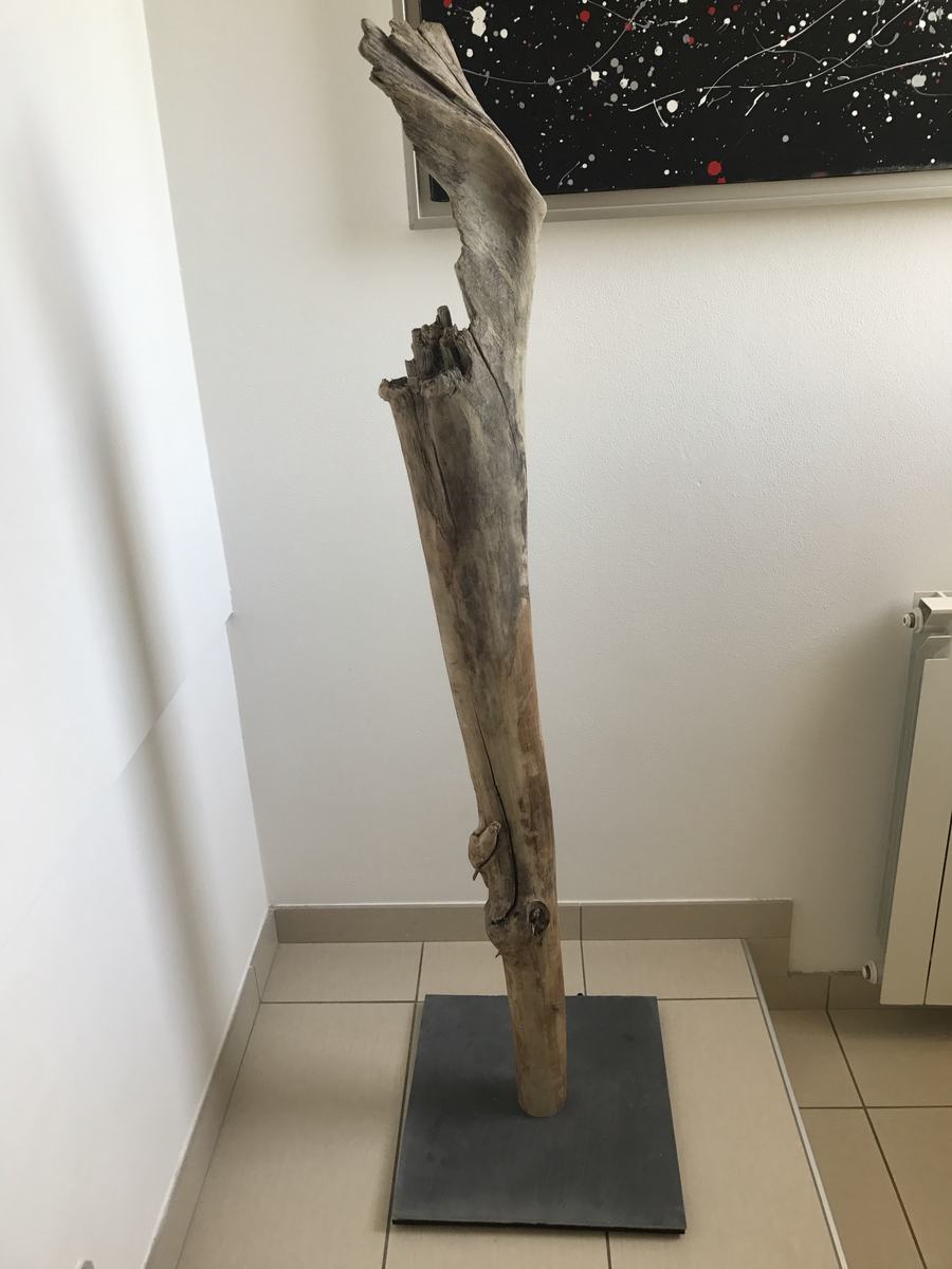Un tronco levigato dal tempo, in piedi su una base di ardesia
